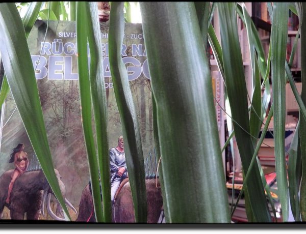 Comic steht versteckt hinter Palmenblättern, im Hintergrund Bücherstapel