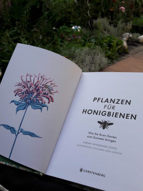 Pflanzen für Honigbienen mit Illustration in pastell