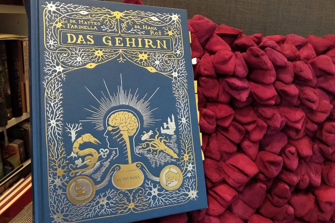 Das Gehirn Titelbild - Buch vor einem roten Kissen