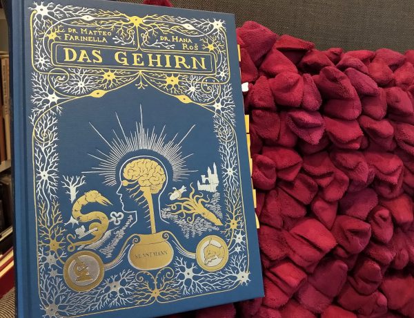 Das Gehirn Titelbild - Buch vor einem roten Kissen