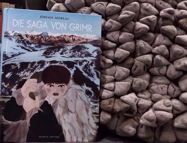 Die Saga von Grimr Titelbild vor einem Kissen