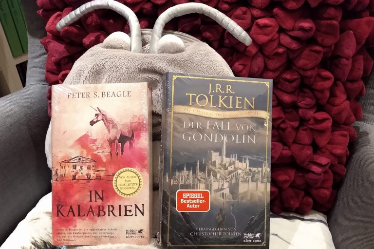 [beendet] Booknappings Dezember Runde 3 von 4 #bookzember **Verlosung 15.-17.12.**