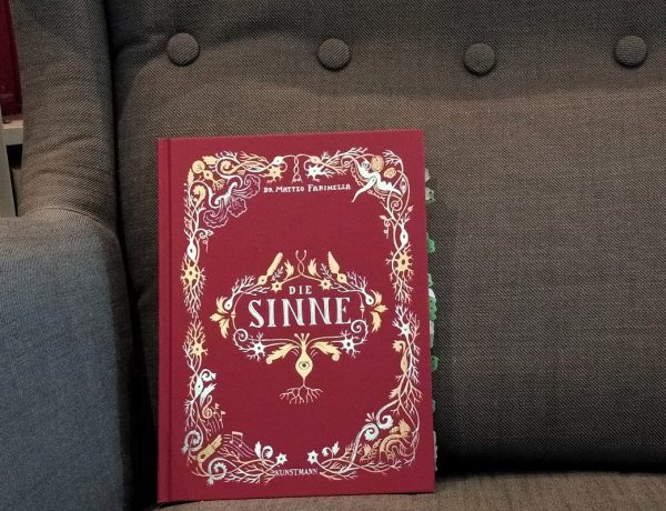 Rotes Buch mit goldenen Intarsien auf grauem Sessel