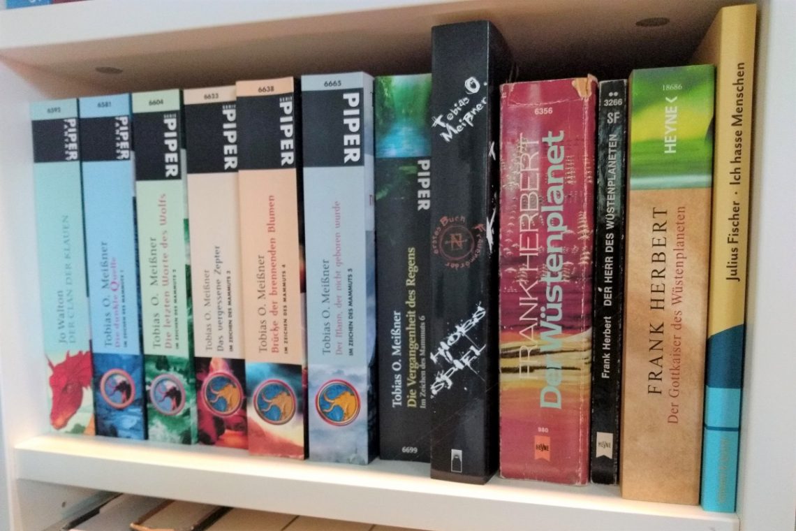 Foto von einem Regalfach mit insgesamt 12 Büchern in verschiedenen Farben