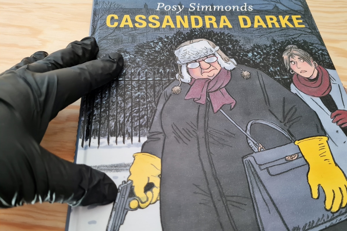 Queen of Kunstbetrug: Cassandra Darke von Posy Simmonds