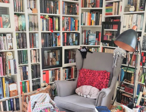 Ein grauer Ohrensessel steht vor einer Ecke mit Bücherregalen, die prall gefüllt sind. Auf dem Sessel ein Kissen und drei Kuscheltiere