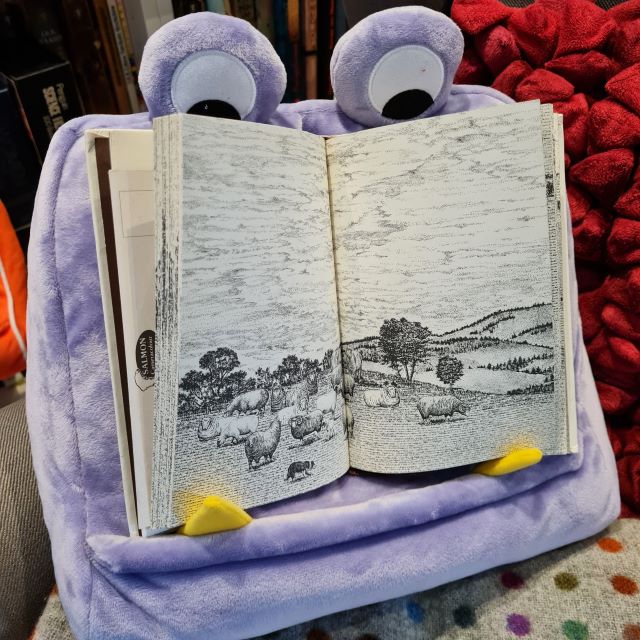 lilafarbenes Buch-Lesekissen in Monsterform mit Augen oben und Zähnen unten. Darauf ein aufgeschlagenes Buch