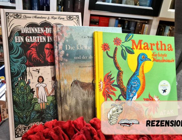 Drei illustrierte Bücher stehen nebeneinander vor einem Bücherregal