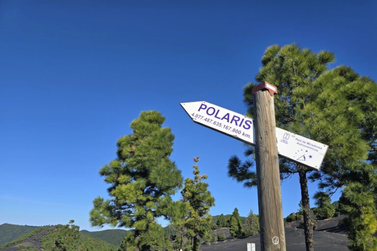 Long live the blog – Rückblick auf 2024 und Pläne