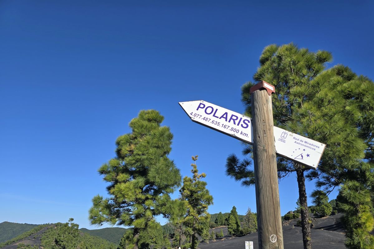 Long live the blog – Rückblick auf 2024 und Pläne