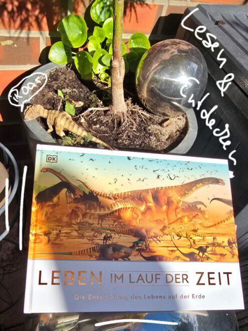 großes querformatiges Buch mit Sauriern auf dem Cover