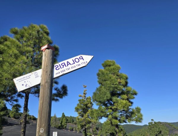 Wegweiser der spiegelverkehrt POLARIS kennzeichnet