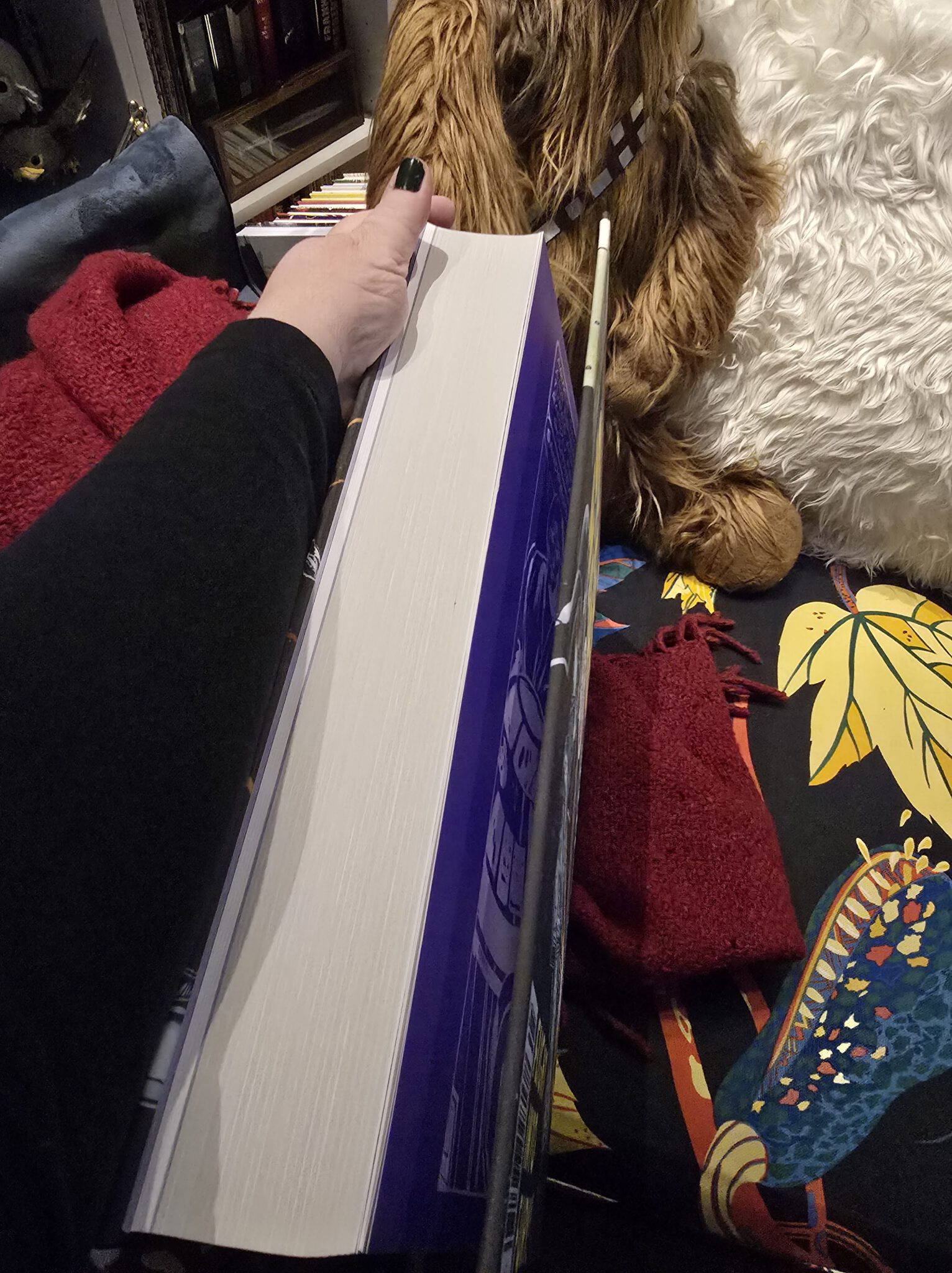 Buch im Größenvergleich mit einem Arm